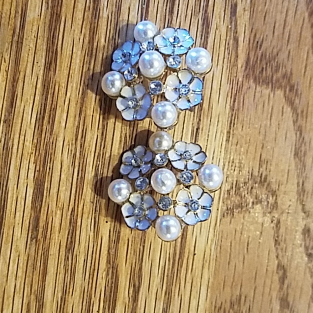 Gorgeous earrings